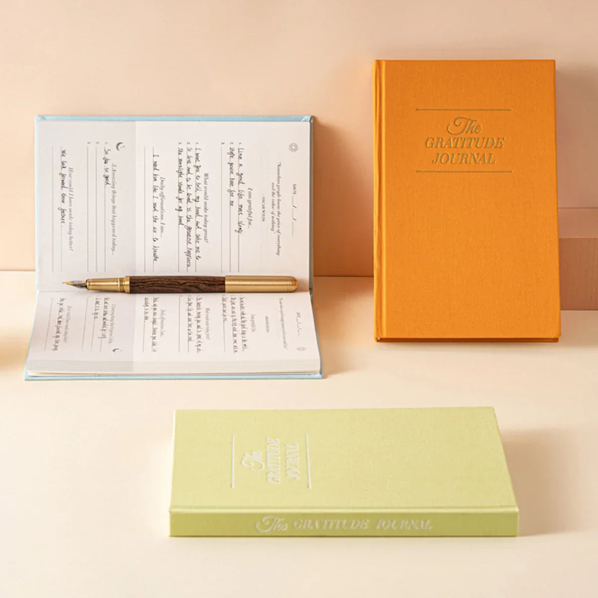 Gratitude Journal Goal Setting School Student Daily Diary Punching Schedule Guided Prompts for Reflection Anxiety Relief
